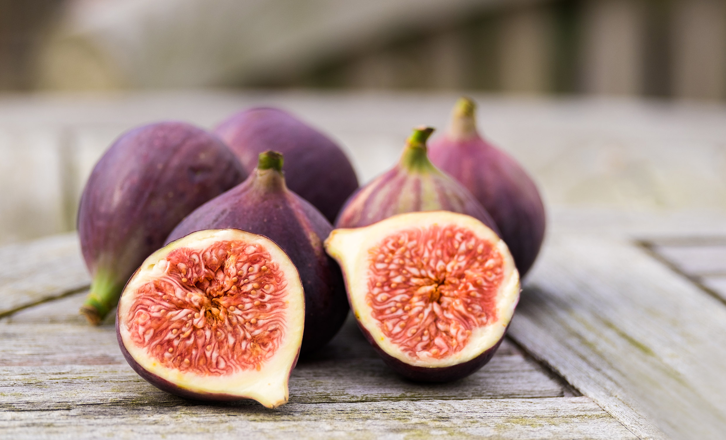 can-dogs-eat-figs-health-benefits-and-risks-buddydoc