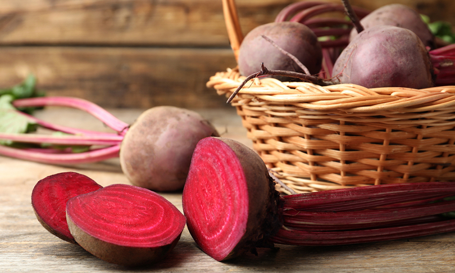 can-dogs-have-beets-are-beets-good-for-dogs-buddydoc